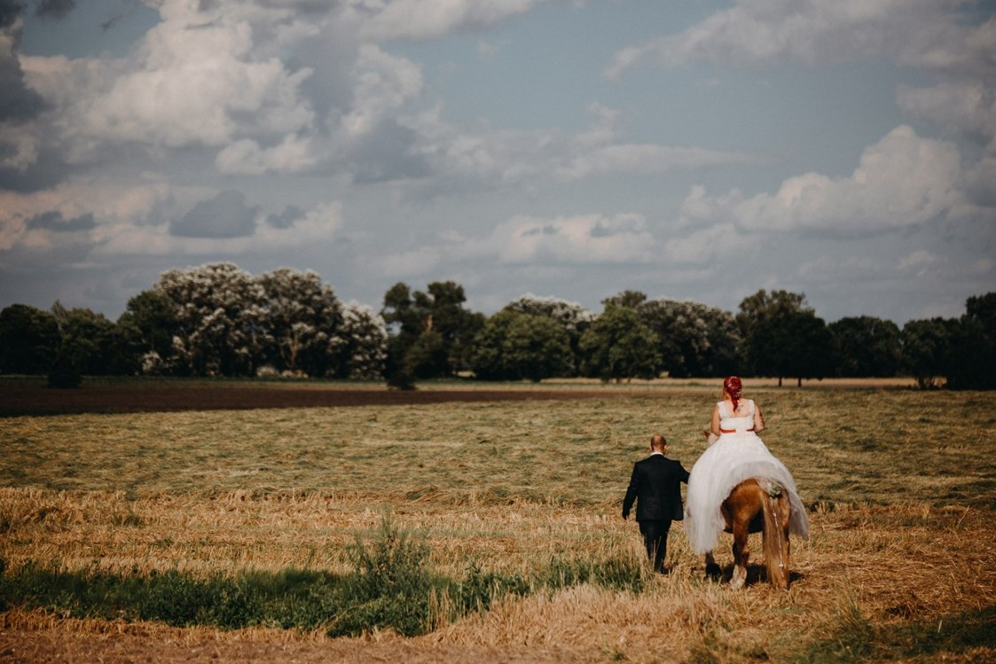 Hochzeitsfotograf: Die Überraschung für die Braut war ein geschmücktes Pferd zum Fotoshooting. Der Bräutigam hatte diese ausgefallende Idee.  - Fotograf David Kohlruss