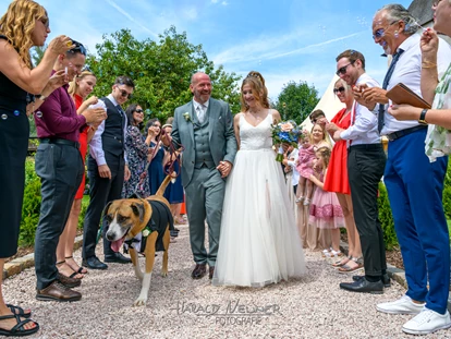 Hochzeitsfotos - Wildsteig - Paarshooting - hier im Schloßpark Matzen bei Brixlegg.
Tolle und entspannte Bilder können nur entstehen, wenn die Stimmung passt. Es sollte genug Zeit für das Shooting im Vorhinein eingeplant sein.
Natürlich ist das Portraitshooting auch nach der Hochzeit buchbar. - Foto Neuner, Rum