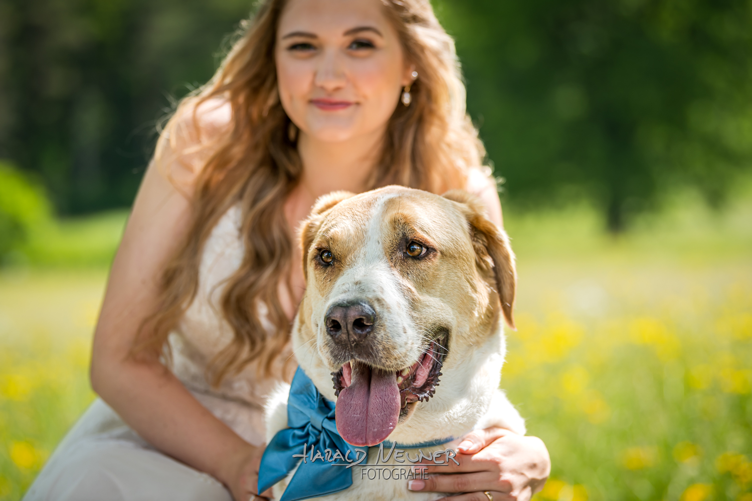 Hochzeitsfotograf: Paarshooting mit dem Lieblingshaustier - Foto Neuner, Rum