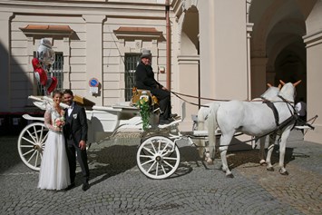 Hochzeitsfotograf: Wolfgang Seifert     WOLFphotography