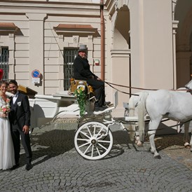 Hochzeitsfotograf: Wolfgang Seifert     WOLFphotography