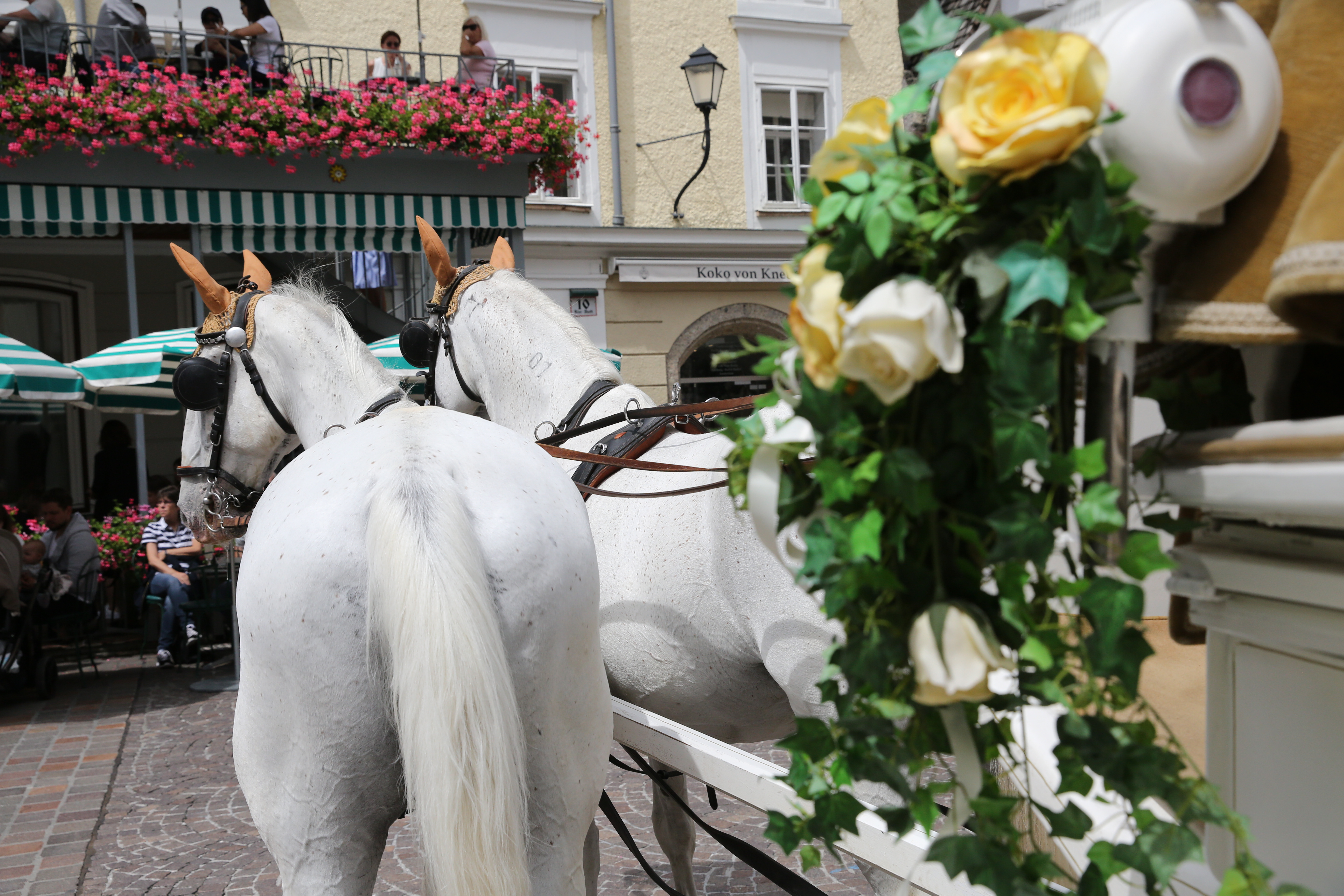 Hochzeitsfotograf: Wolfgang Seifert     WOLFphotography