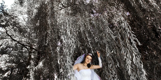 Hochzeitsfotos - PLZ 45476 (Deutschland) - Studio Zenit Klassen