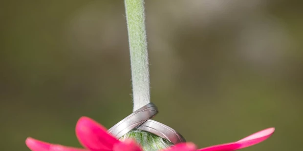 Hochzeitsfotos - Waldegg - Foto Moser