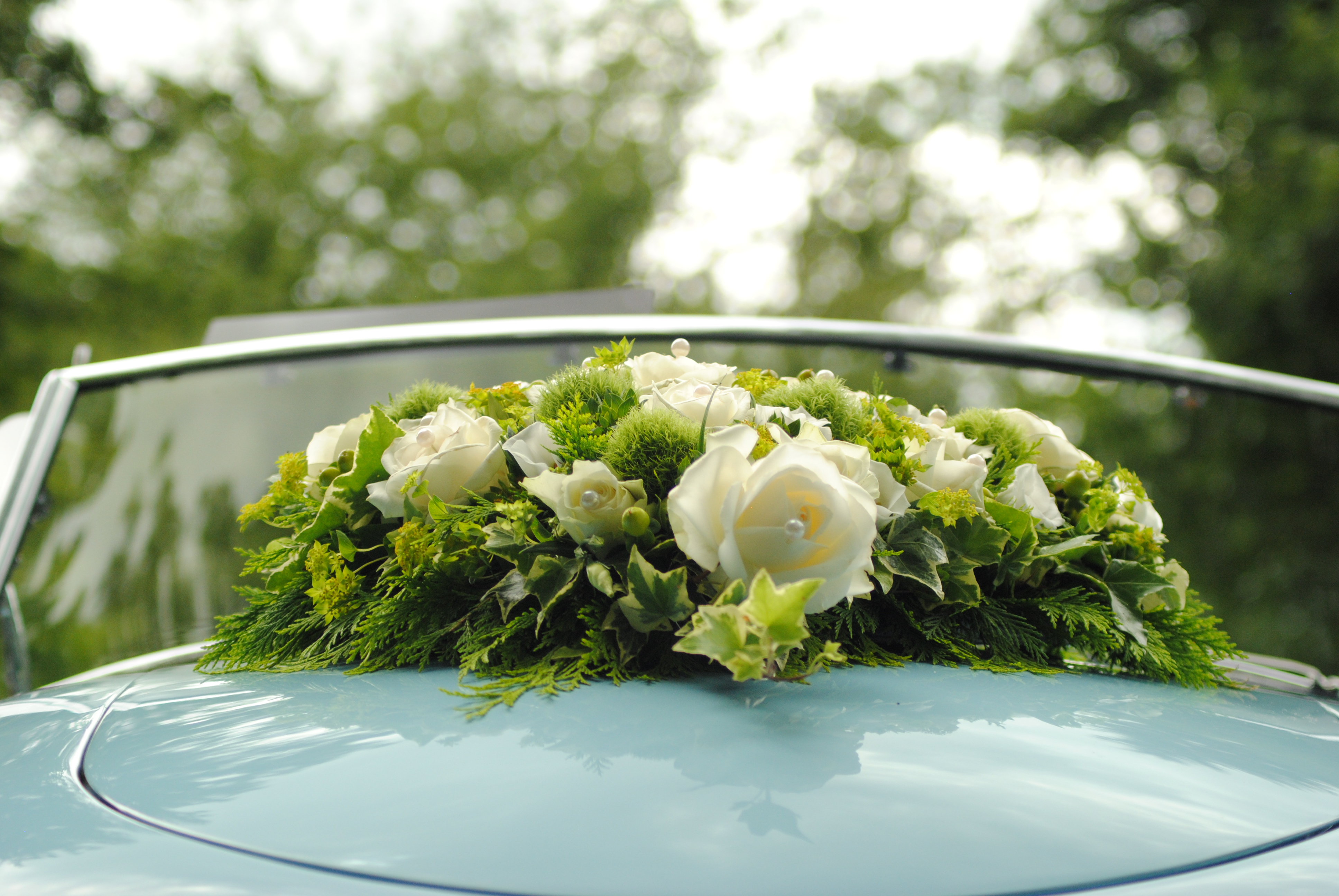 Hochzeitsfotograf: Elias