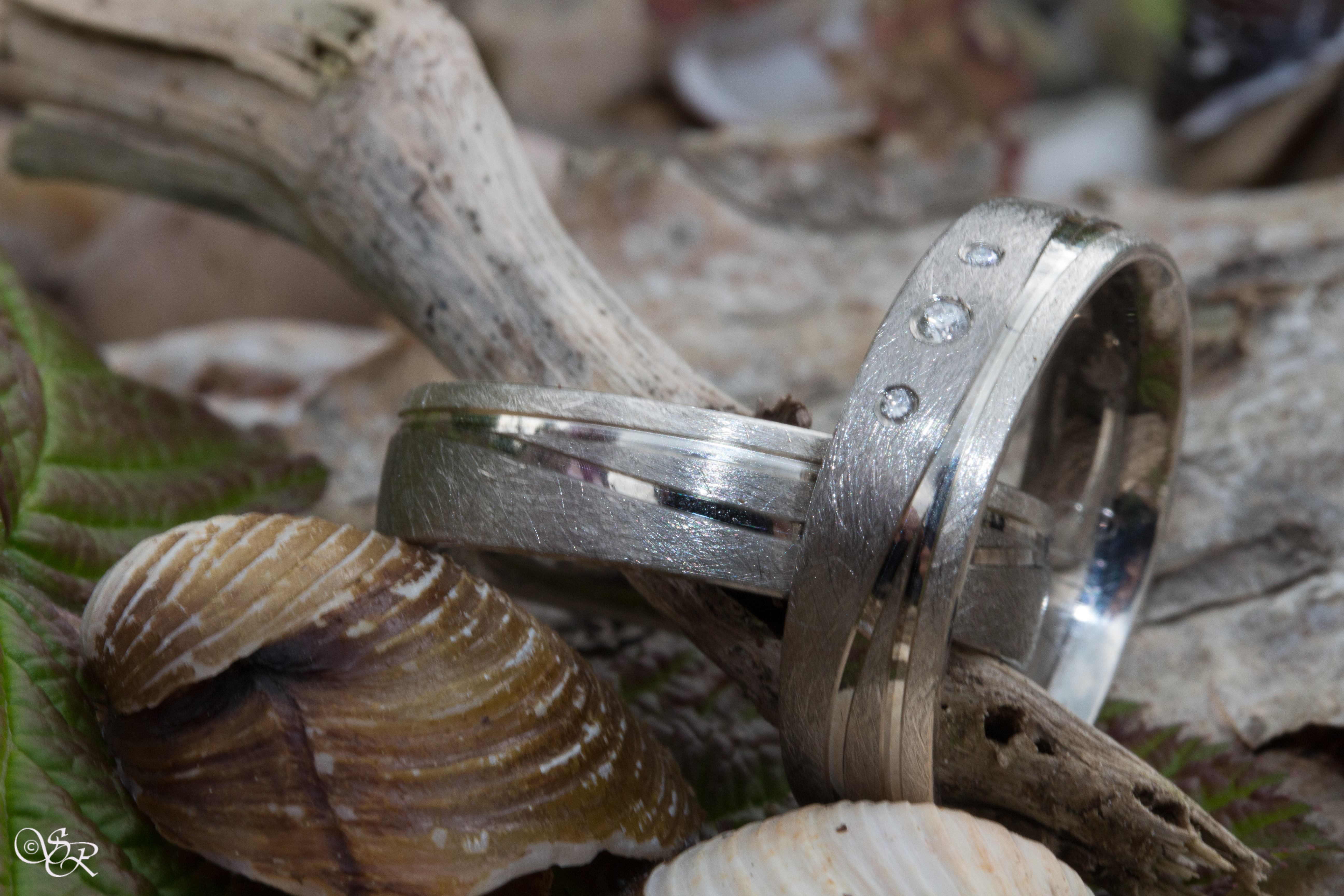 Hochzeitsfotograf: Stefan Reich Photographie