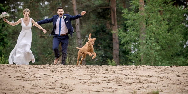 Hochzeitsfotos - Fotostudio - Naumburg (Burgenlandkreis) - the best wedding ever