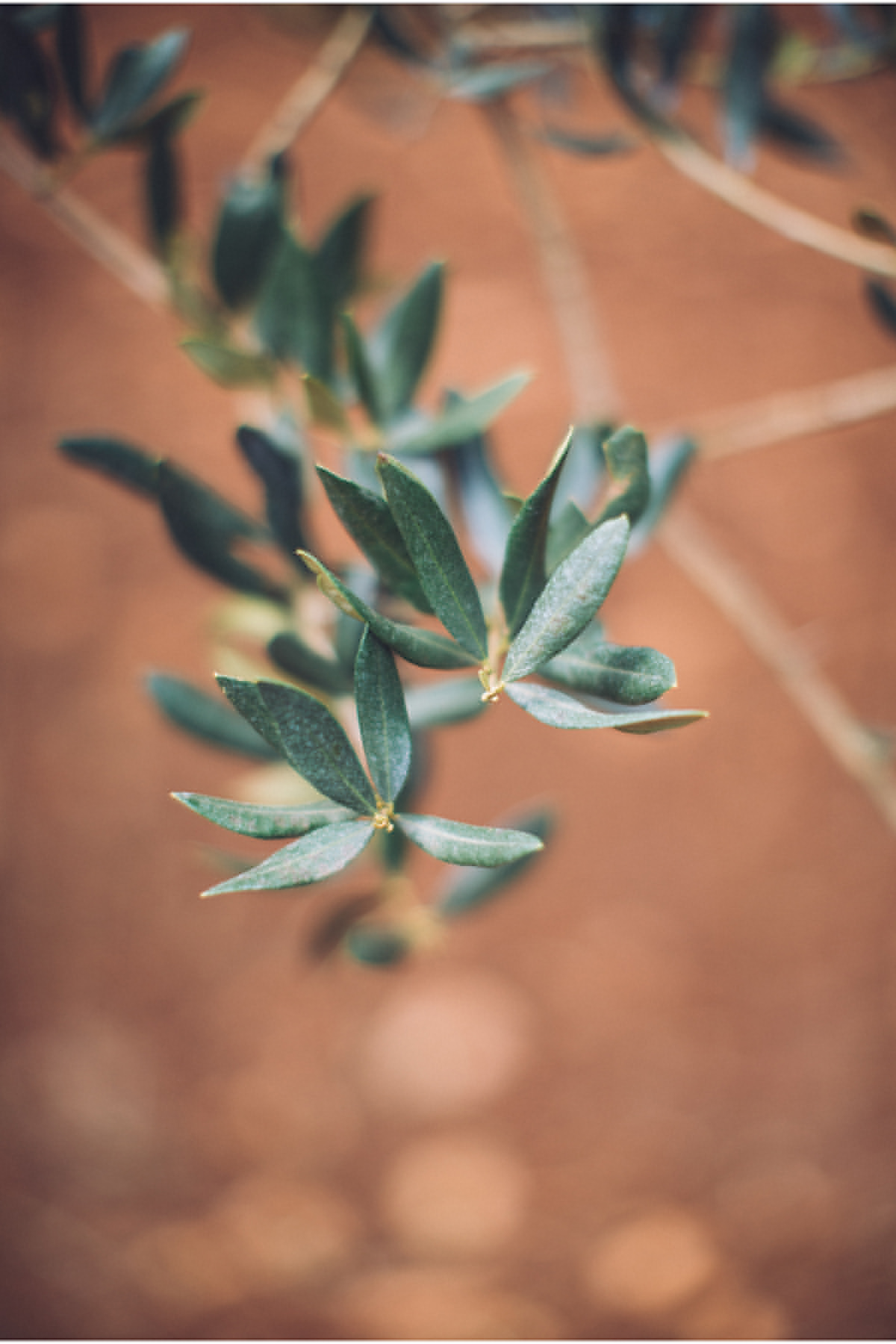 Hochzeitsfotos - Copyright und Rechte: Bilder frei verwendbar - Mondsee - Southsideweddings