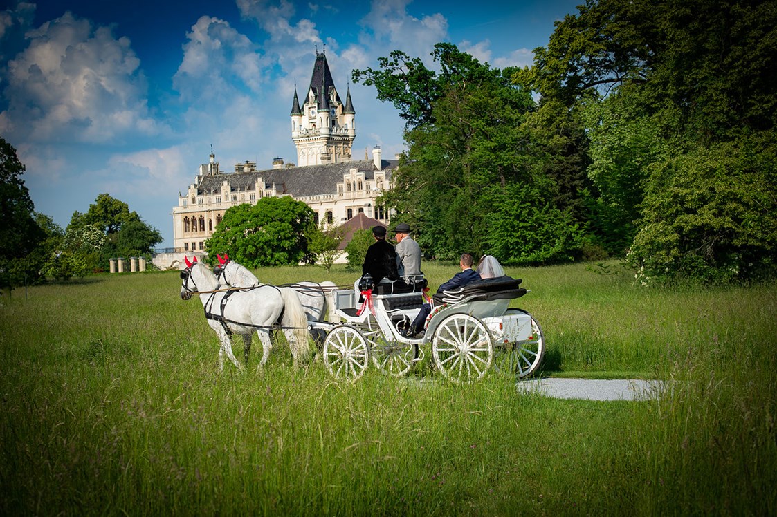 Hochzeitsfotograf: Eine Märchenhochzeit im Schloss Grafenegg, Sommer 2018.  - Ing.Ivan Lukacic