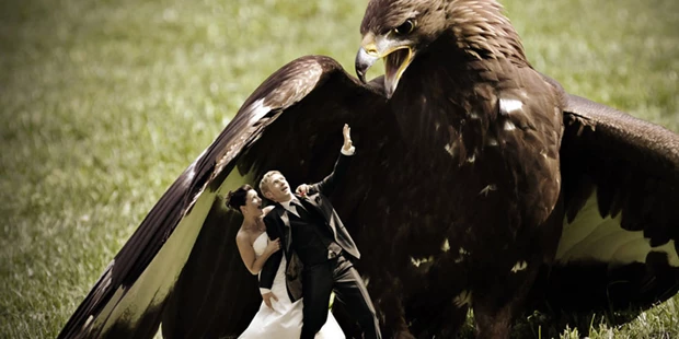 Hochzeitsfotos - Art des Shootings: Hochzeits Shooting - Appenzell - Tommy Seiter