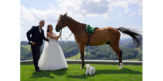 Hochzeitsfotos - Art des Shootings: Trash your Dress - Maria-Lanzendorf - Hochzeit mit Pferd & Hund in Gambitz - Fink Pictures by Iris Fink