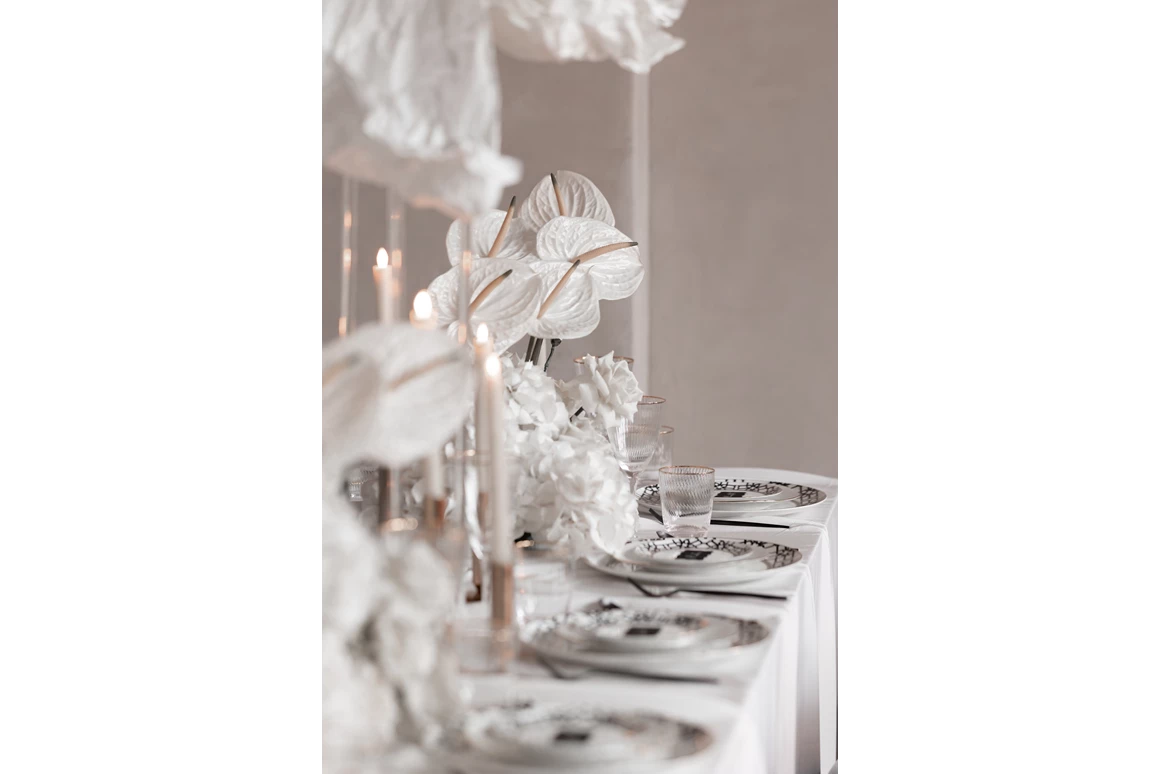 Hochzeitsfotograf: Hochzeitsfotografin Westerwald Hochzeitsfotografin Koblenz Hochzeitsfotografin Köln Hochzeiten fotografieren Hochzeitsfotograf gesucht heiraten 2025 Hochzeit Wedding wedding photographer Jana Bleich Fotografie Jana Bleich Fotografin gesucht getting ready Freie Trauung Kirchliche Trauung - Jana Bleich Fotografie