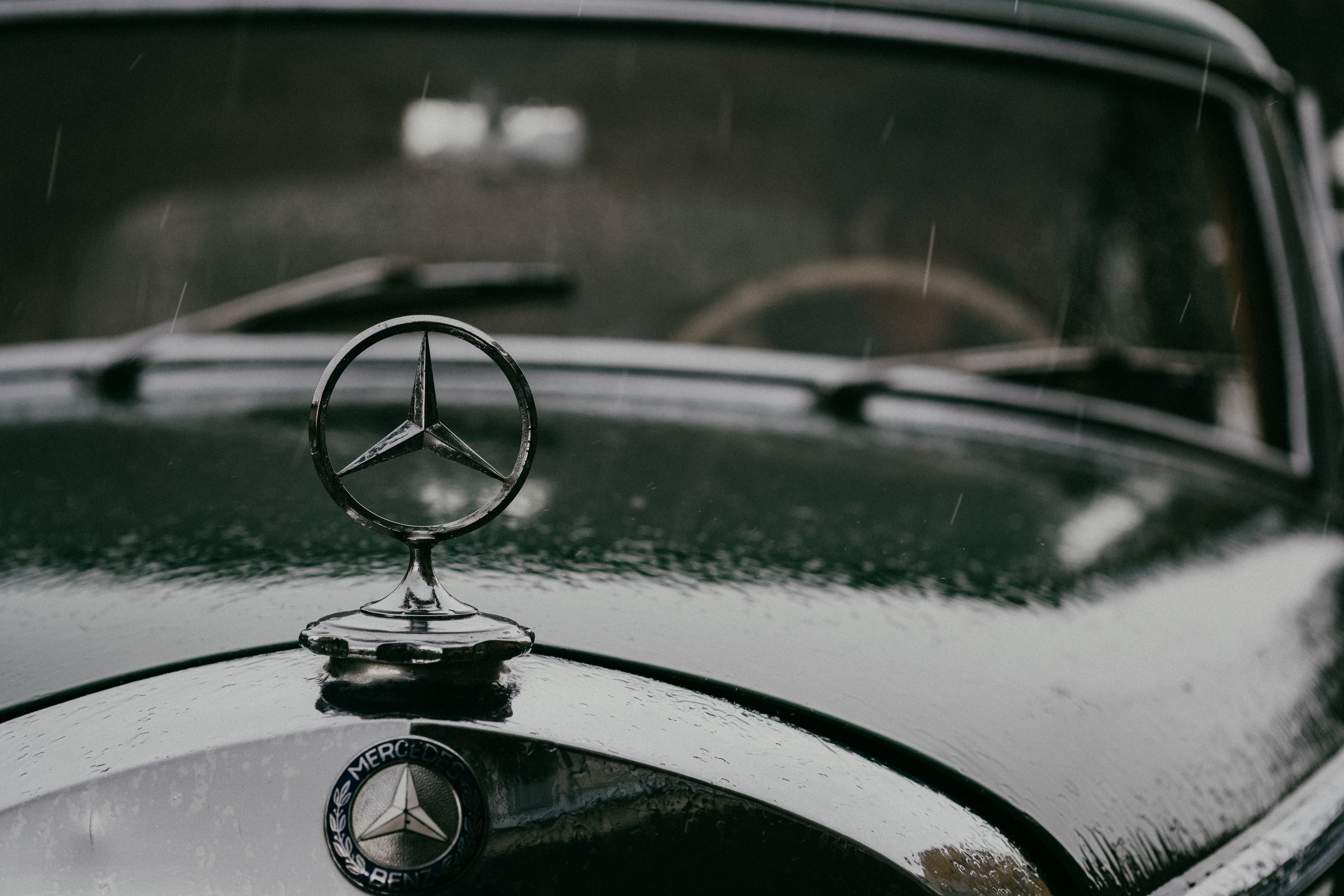 Hochzeitsfotograf: Mentalwedding