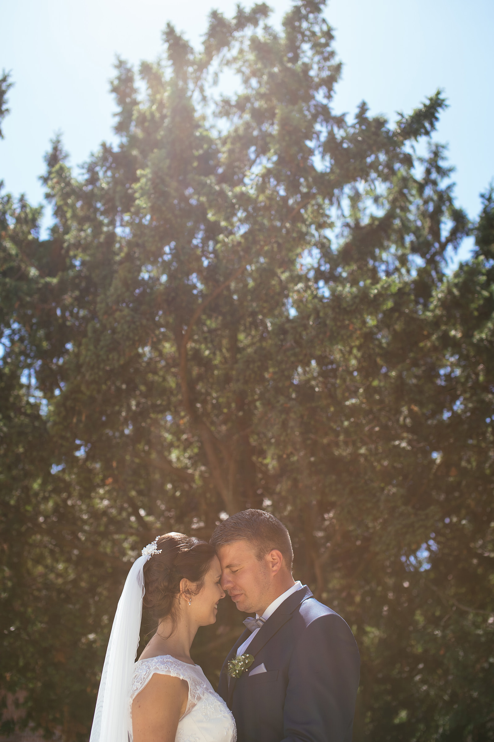 Hochzeitsfotograf: Daniel Tetzel Fotografie