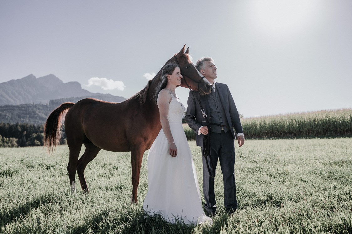 Hochzeitsfotograf: Hochzeitsshooting mit Araberstute Mystery - Shots Of Love - Barbara Weber Photography