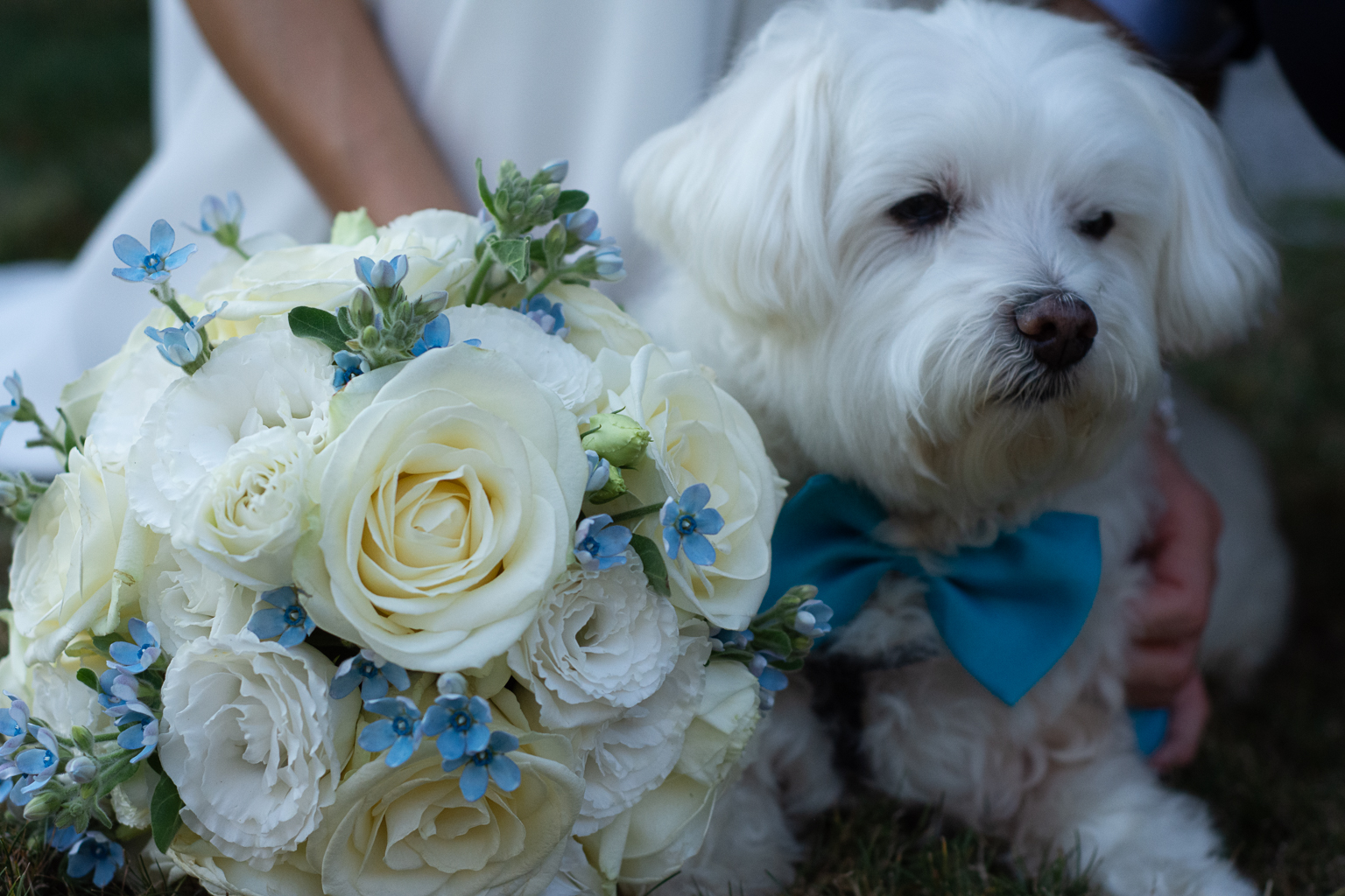 Hochzeitsfotograf: ch bin Hochzeitsfotograf in Kärnten, lebe mit meiner Familie in Villach und gebe alles für, gutes Essen, schöne Sommertage, jede menge Spass, meine FAMILIE und nicht zu vergessen Destination Hochzeitsfotograf Klagenfurt am Wörthersee, Wien, Österreich, Bled Slowenien, Ljubljana Slowenien, Kroatien Hochzeitsfotos Österreich Wien
Wien  Herzliche und professionelle Betreuung Die Hochzeit - Einer der schönsten Tage im Leben!
Es ist immer etwas ganz besonderes ein Paar von den frühen Morgenstunden an zu begleiten, die Aufregung zu spüren, die Liebesgeschichte zu sehen. Wir freuen uns von euch zu hören! Liebe Grüße
 Hochzeitsfotografen in Kärnten - Hochzeit Fotograf Kärnten Neza - Tadej 