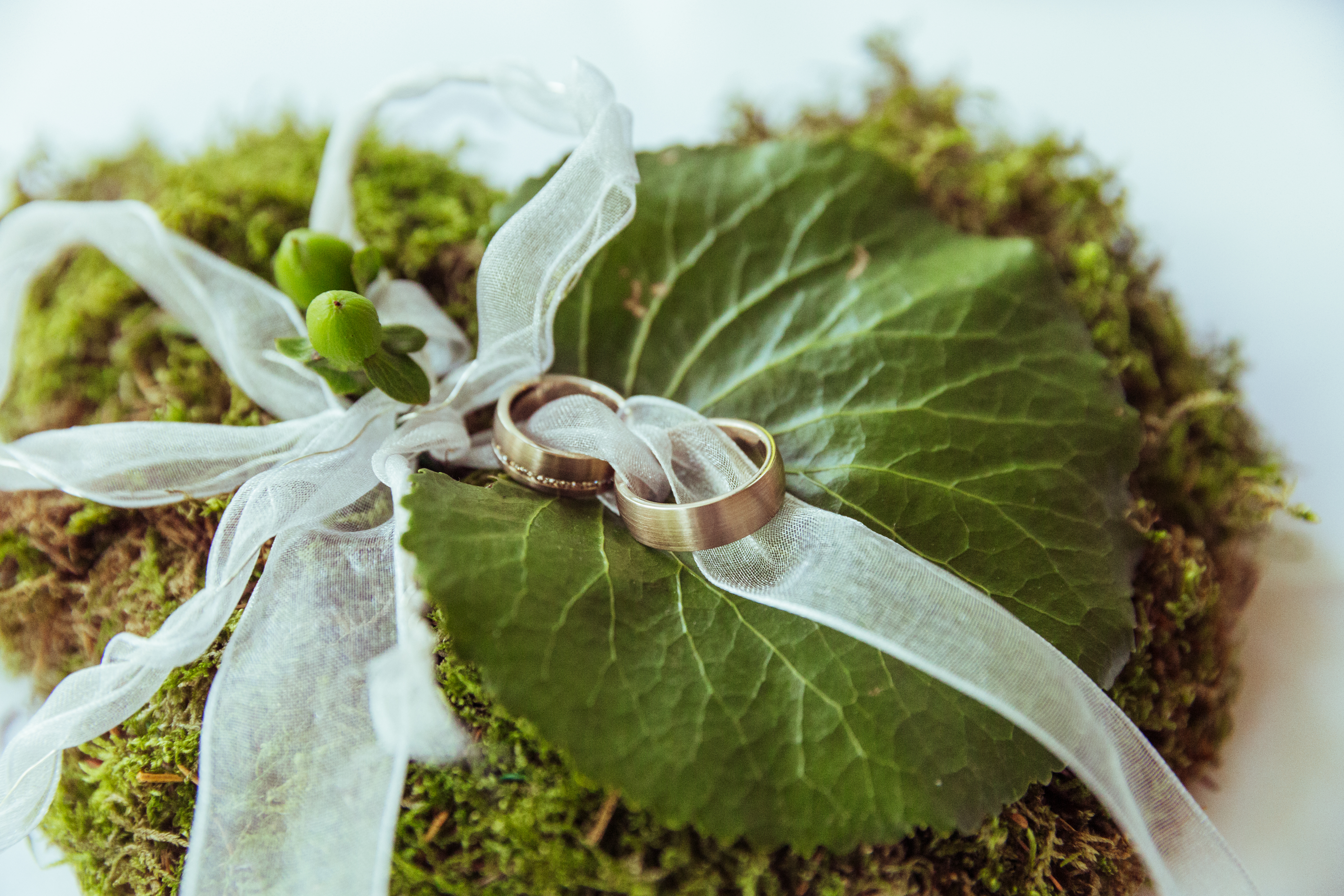 Hochzeitsfotos - Berufsfotograf - Nordrhein-Westfalen - Monika Günther