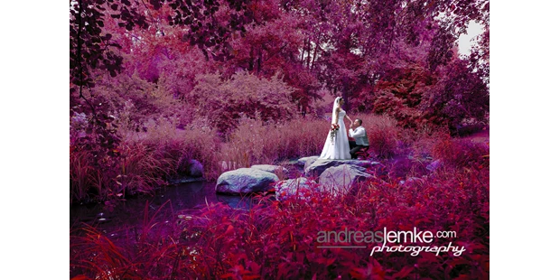 Hochzeitsfotos - Art des Shootings: 360-Grad-Fotografie - Magdeburg - Hochzeitsfotograf Berlin Andreas Lemke 01716068677 www.andreaslemke.com - Hochzeitsfotograf Berlin Andreas Lemke