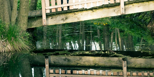 Hochzeitsfotos - Kirchdorf an der Krems - gemeinsam - Martin Dörsch