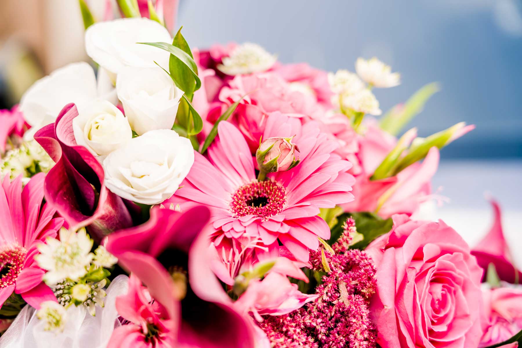 Hochzeitsfotos - Fotobox alleine buchbar - Niederösterreich - GEORG POMASSL Fotograf
