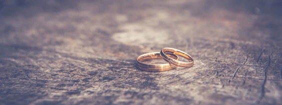 Hochzeitsfotograf: Foto Therapie Paletzki
