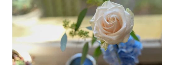 Hochzeitsfotograf: traumhochzeitsfotos, Hochzeitsfotografen - Hochzeitsfotograf | Videograf | Traumhochzeitsfotos