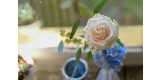 Hochzeitsfotos - Copyright und Rechte: Bilder dürfen bearbeitet werden - Mattstetten - Hochzytsjournalist, Hochzeitsfotografen - Hochzytsjournalist