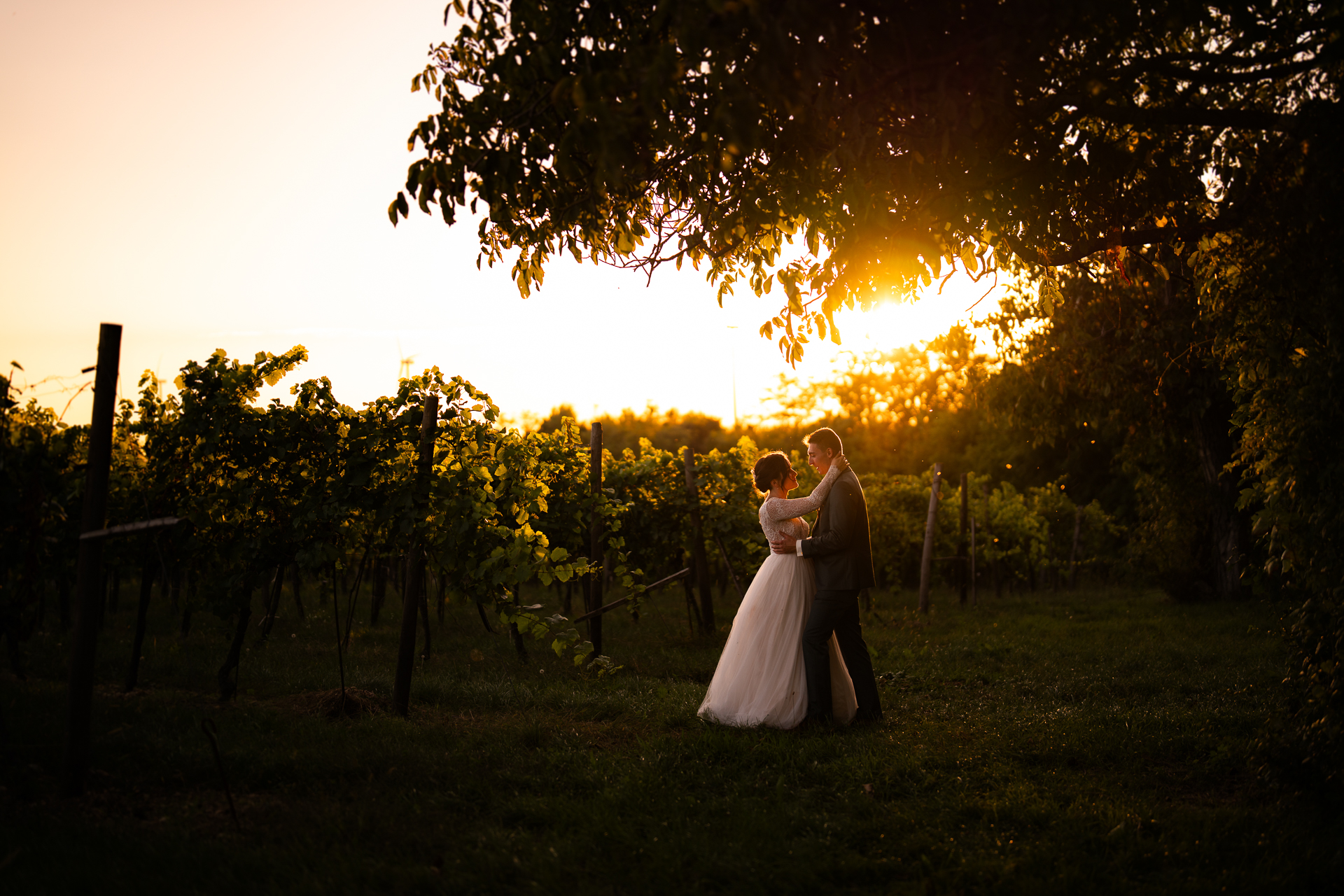 Hochzeitsfotograf: Daniela Fröstl