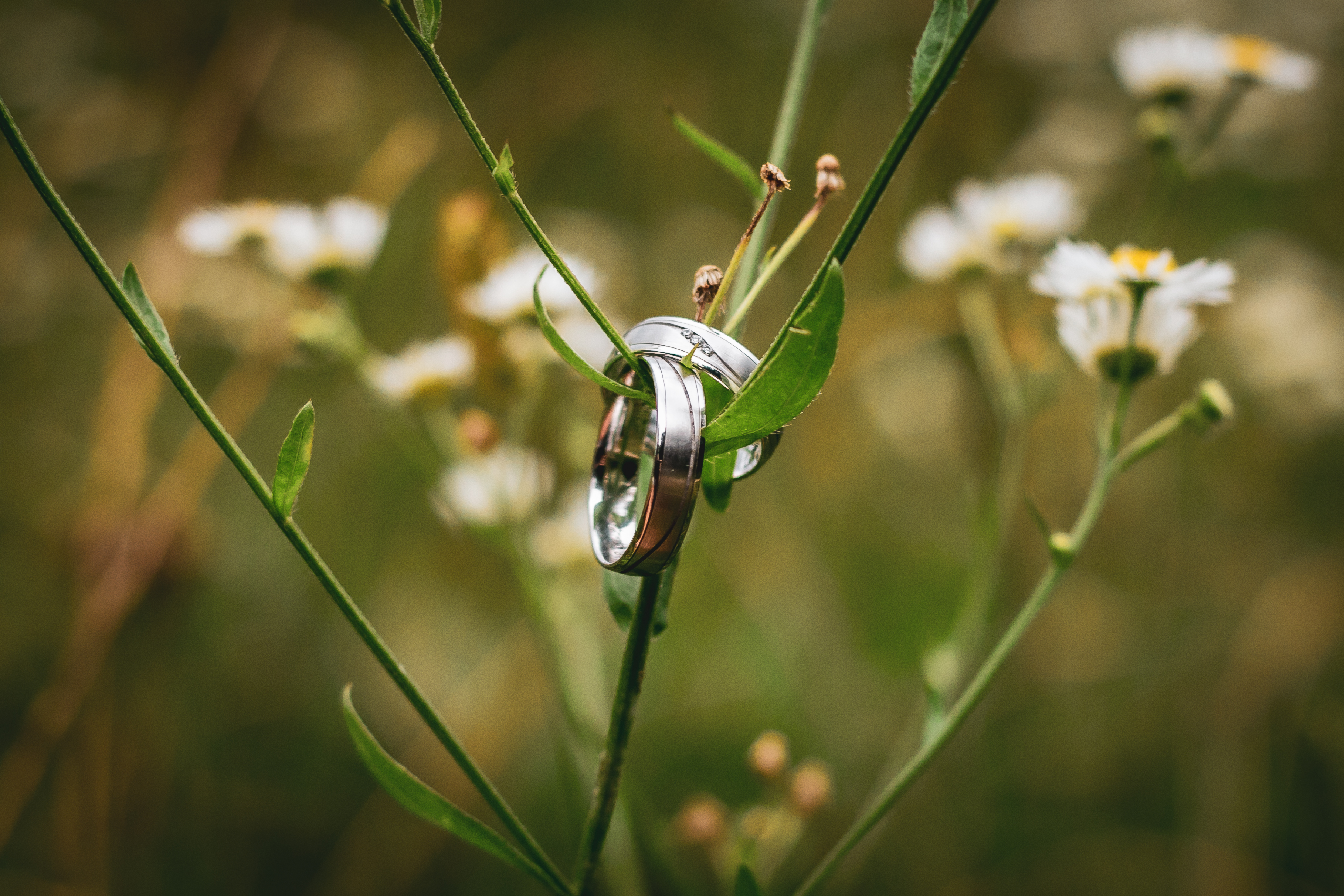 Hochzeitsfotos - Art des Shootings: Prewedding Shooting - Neumarkt am Wallersee - Tina Kolanos Photography