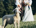 Hochzeitsfotograf: brautpassion.de