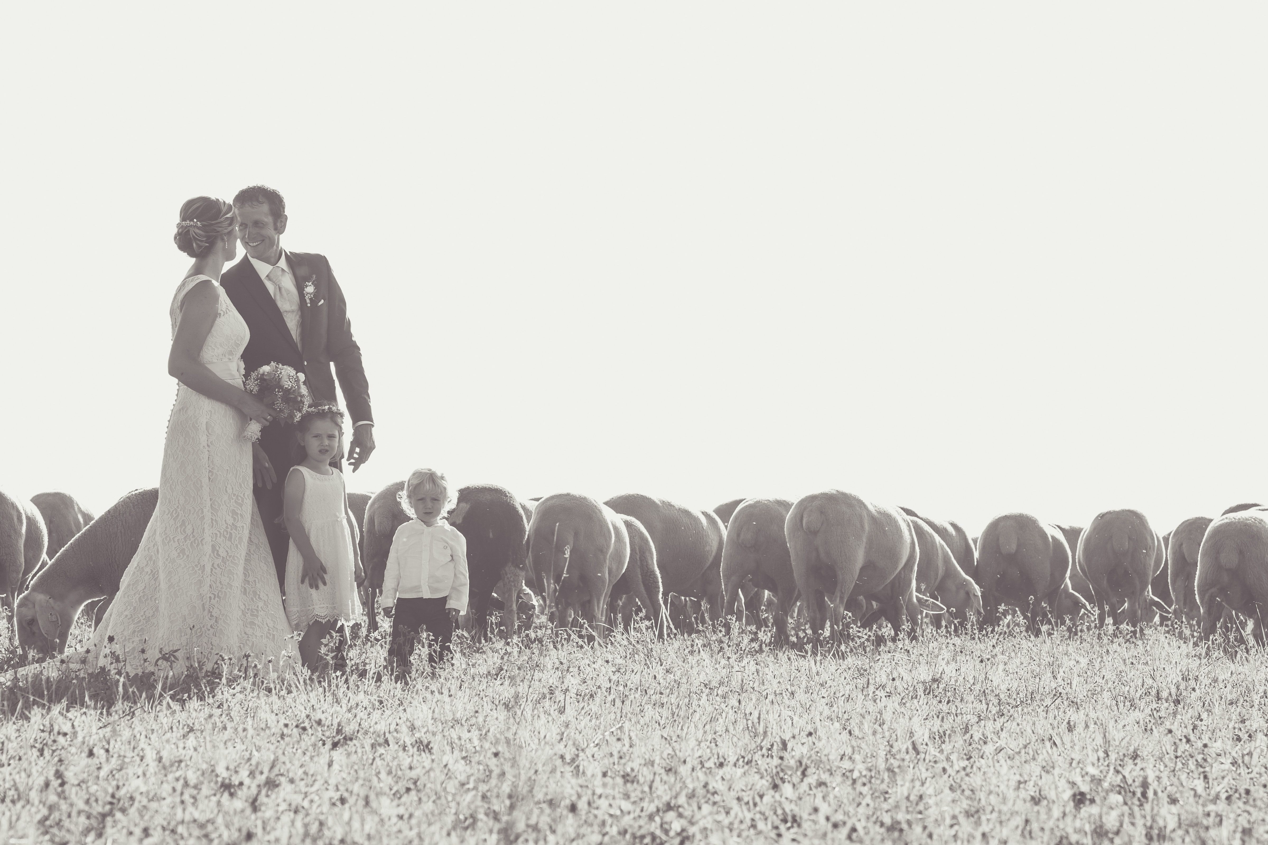 Hochzeitsfotos - PLZ 68309 (Deutschland) - brautpassion.de