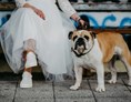 Hochzeitsfotograf: Wolfsberg - Petra Nestelbacher - footprints FOTOGRAFIE & FILM 
