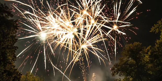 Hochzeitsfotos - Fotostudio - Naumburg (Burgenlandkreis) - Feuerwerk am Abend der Hochzeitsparty  - Zerina Kaps Photography