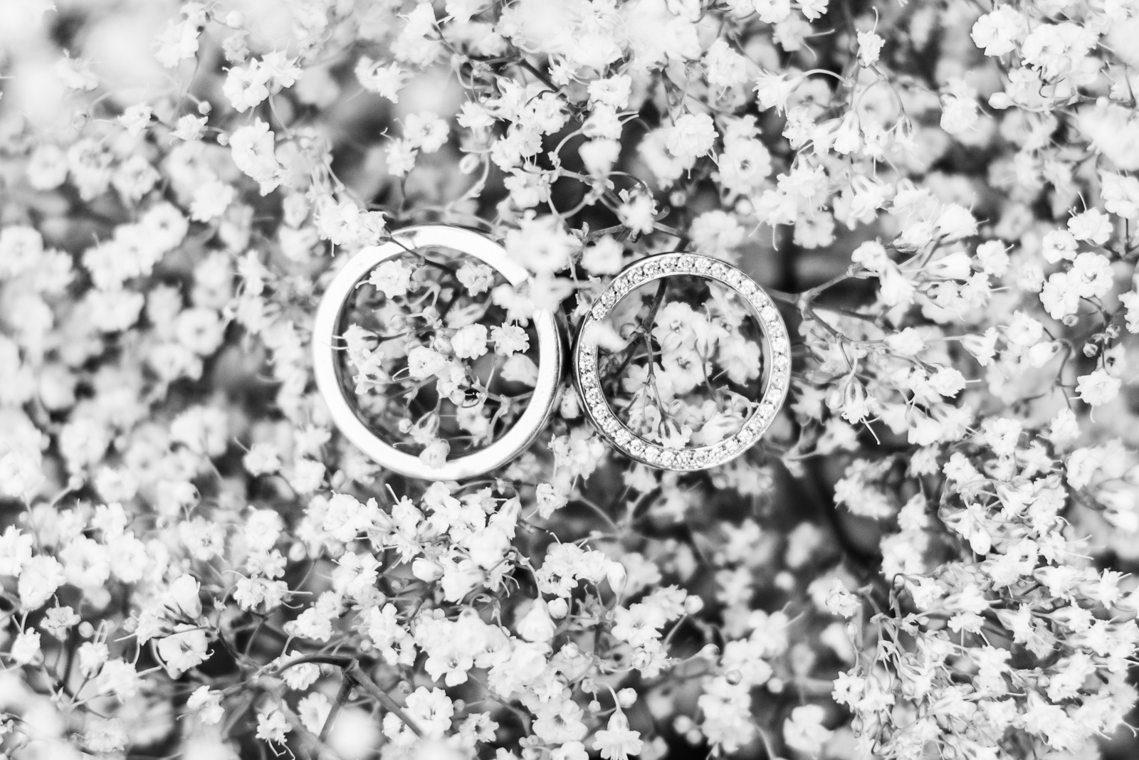 Hochzeitsfotograf: Kathrin Gollackner