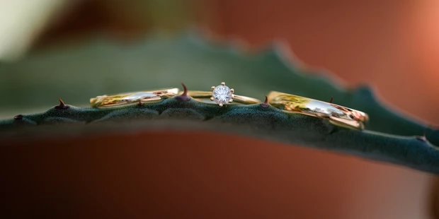 Hochzeitsfotos - Bezirk Klagenfurt - Detailverliebt  - Lydia Jung Photography