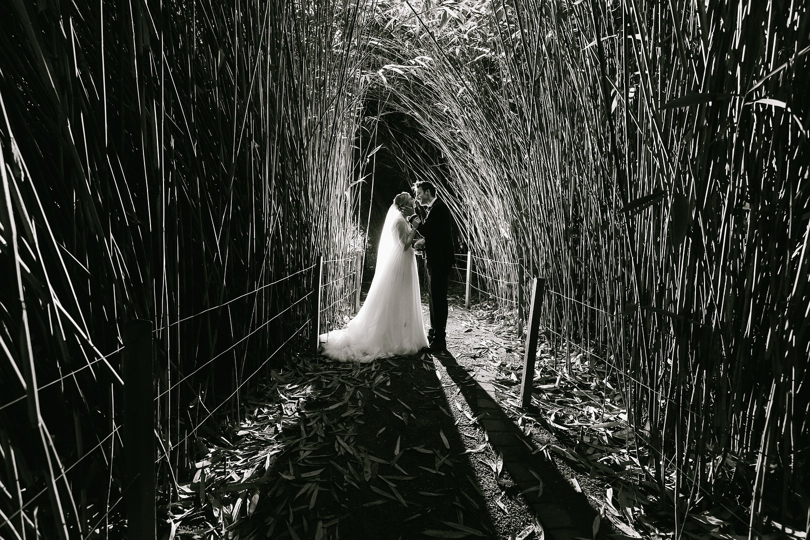 Hochzeitsfotos - Berufsfotograf - Nordrhein-Westfalen - Markus Koslowski Hochzeitsfotograf Münster