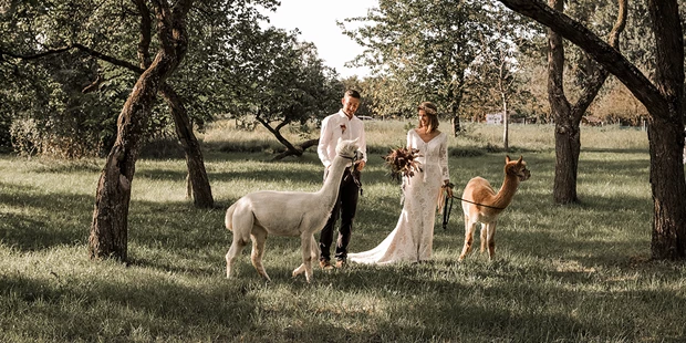 Hochzeitsfotos - Art des Shootings: Trash your Dress - Maria-Lanzendorf - Tina Vega-Wilson