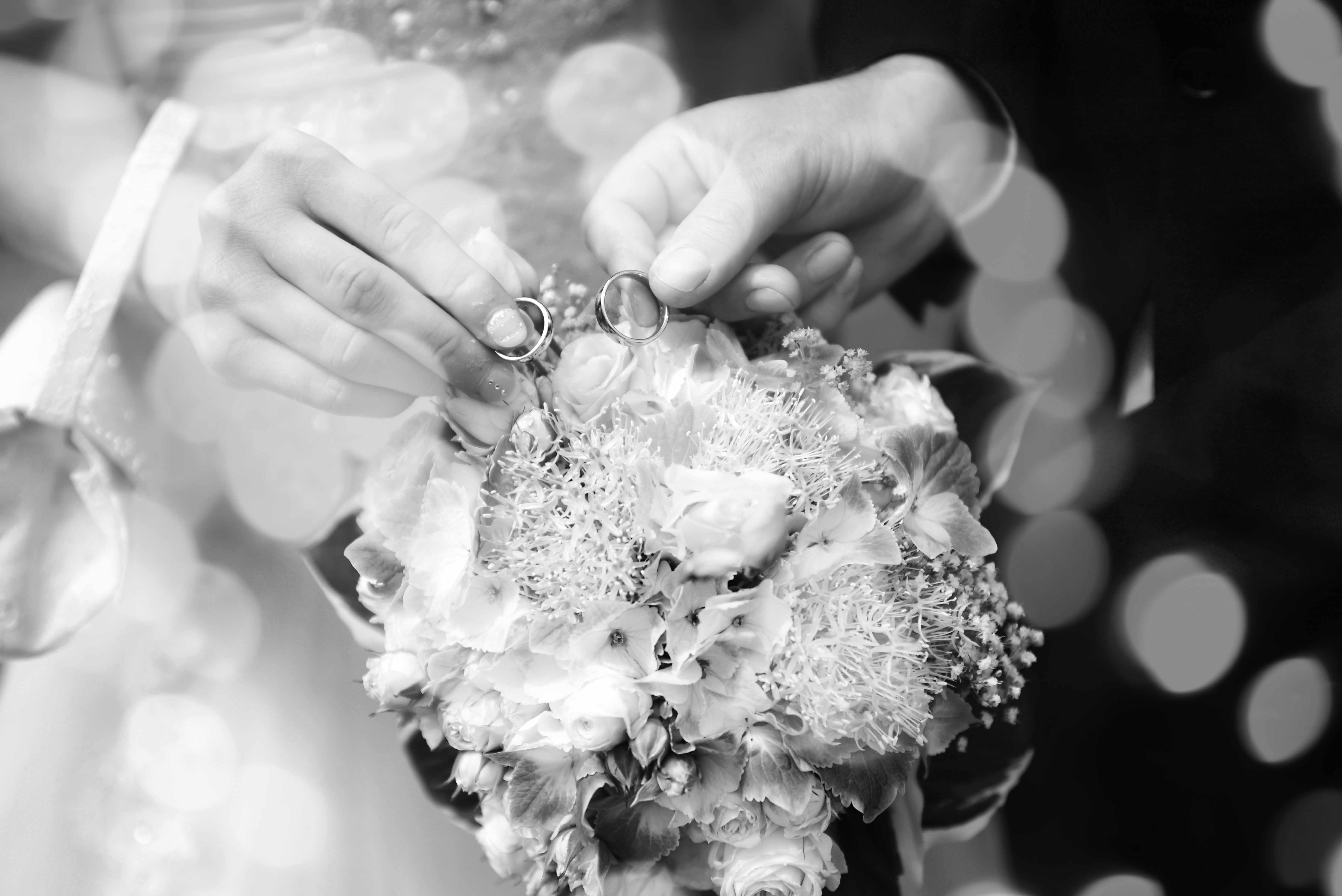 Hochzeitsfotograf: Y.Photoarts