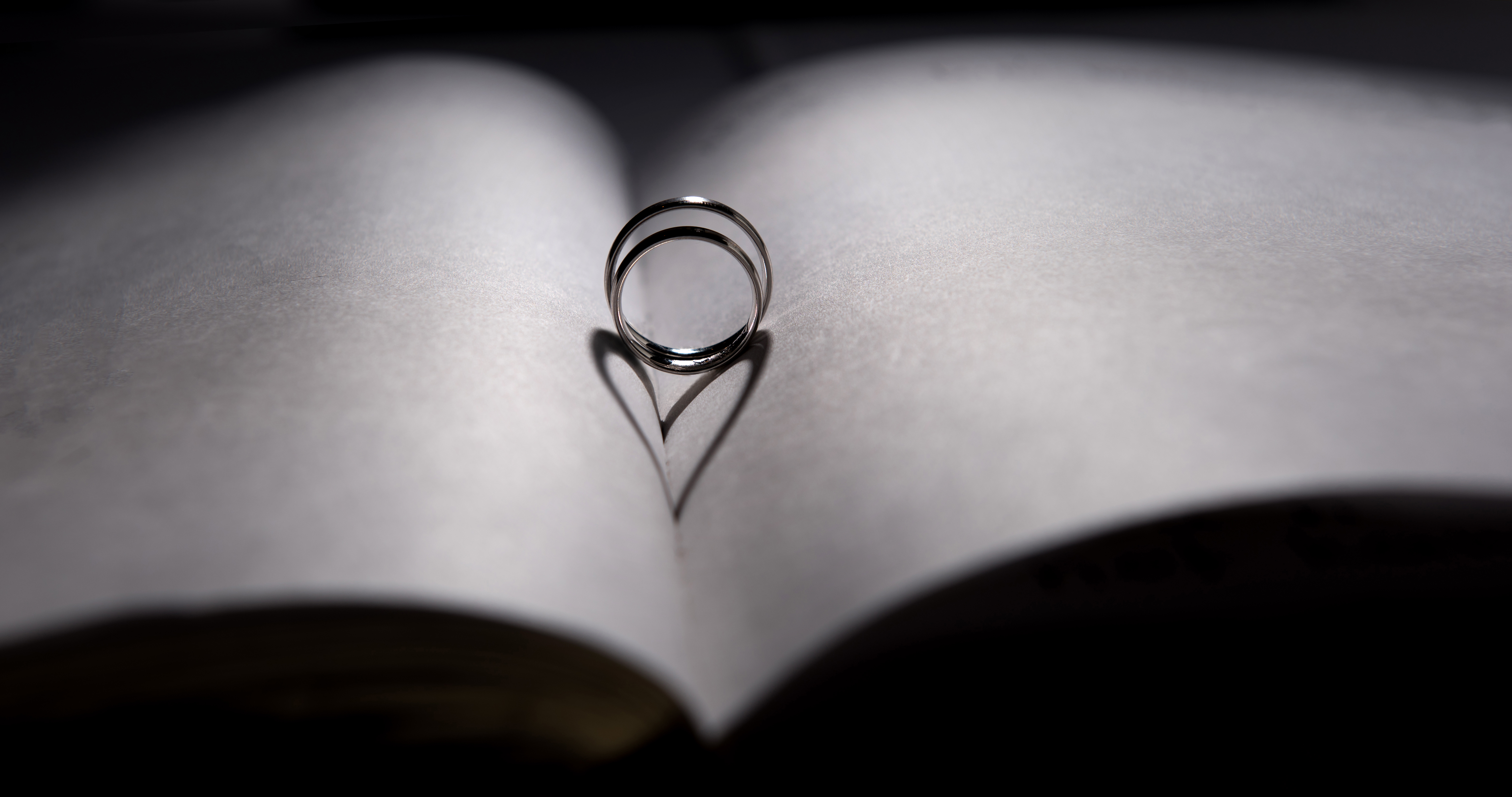 Hochzeitsfotos - Berufsfotograf - St. Pölten - Patrick Kaltseis