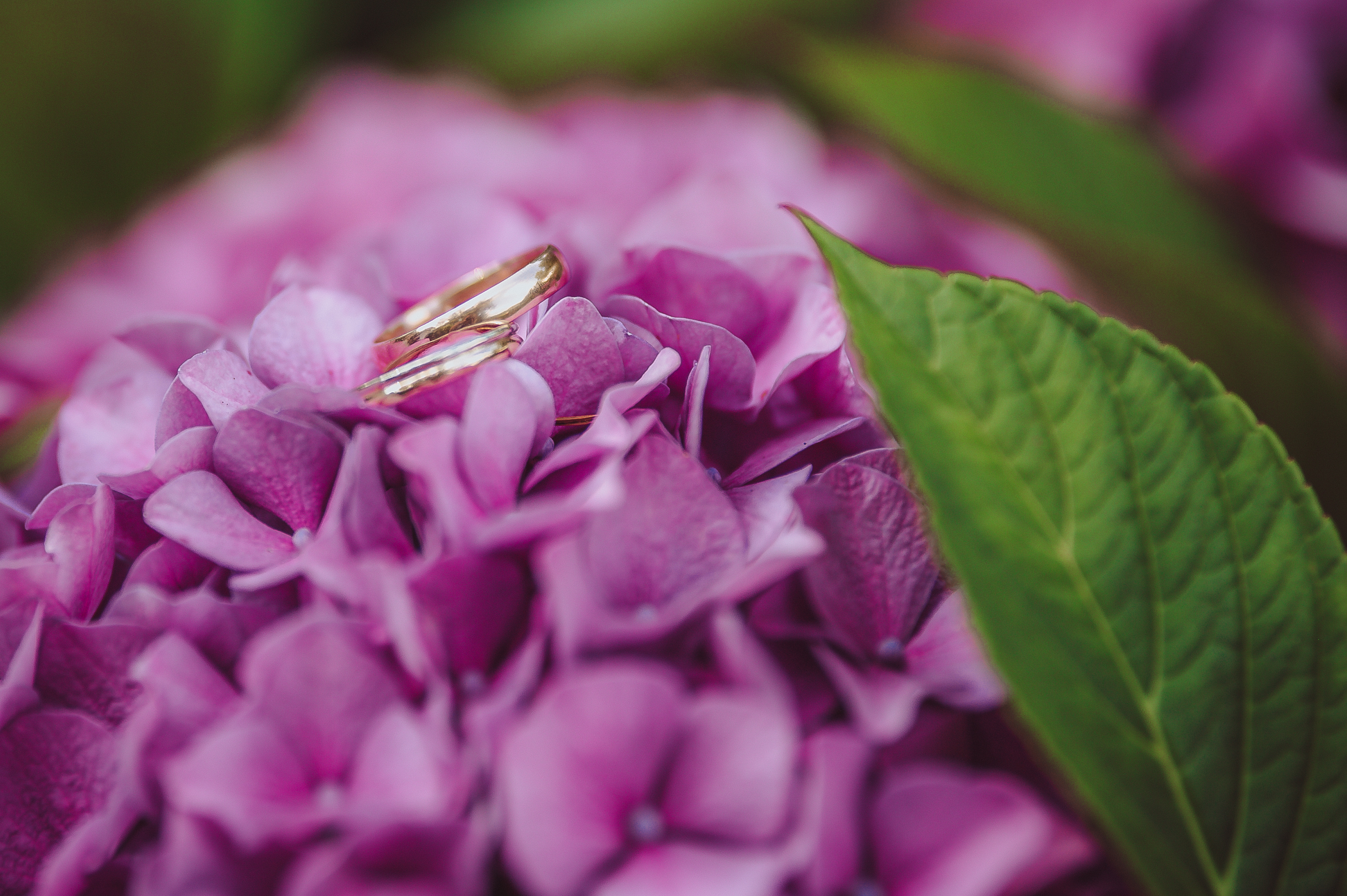 Hochzeitsfotograf: Friederike Tesch Fotografie