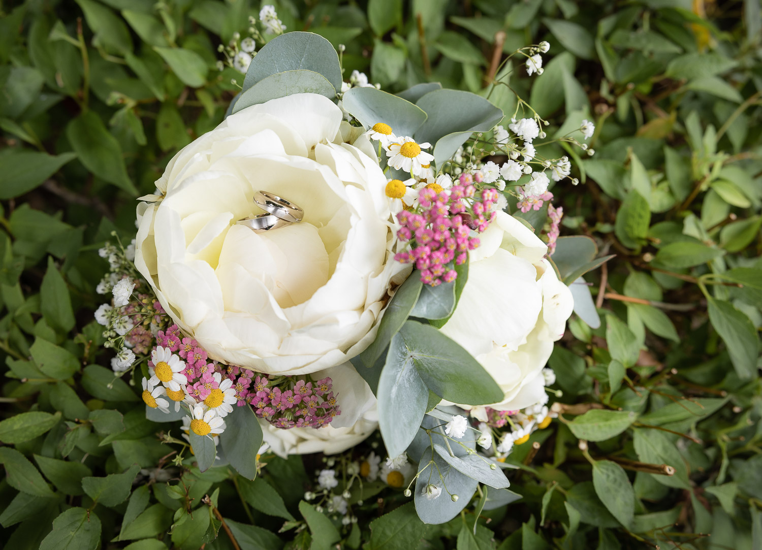 Hochzeitsfotograf: Christina Sperschneider 