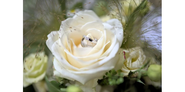 Hochzeitsfotos - PLZ 9444 (Schweiz) - Hochzeitsfotografie Zürich Schweiz Standesamt Fotograf Preise - Hochzeitsfotograf Timea Cahenzli