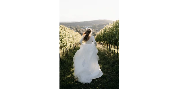 Hochzeitsfotos - Art des Shootings: Prewedding Shooting - Kittsee - Braut in den Weinbergen. - Clara Buchberger