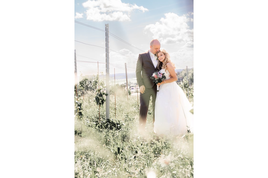 Hochzeitsfotograf: Ein Brautpaar zwischen Weinreben - Timescape by Malina - Erinnerungen für die Ewigkeit