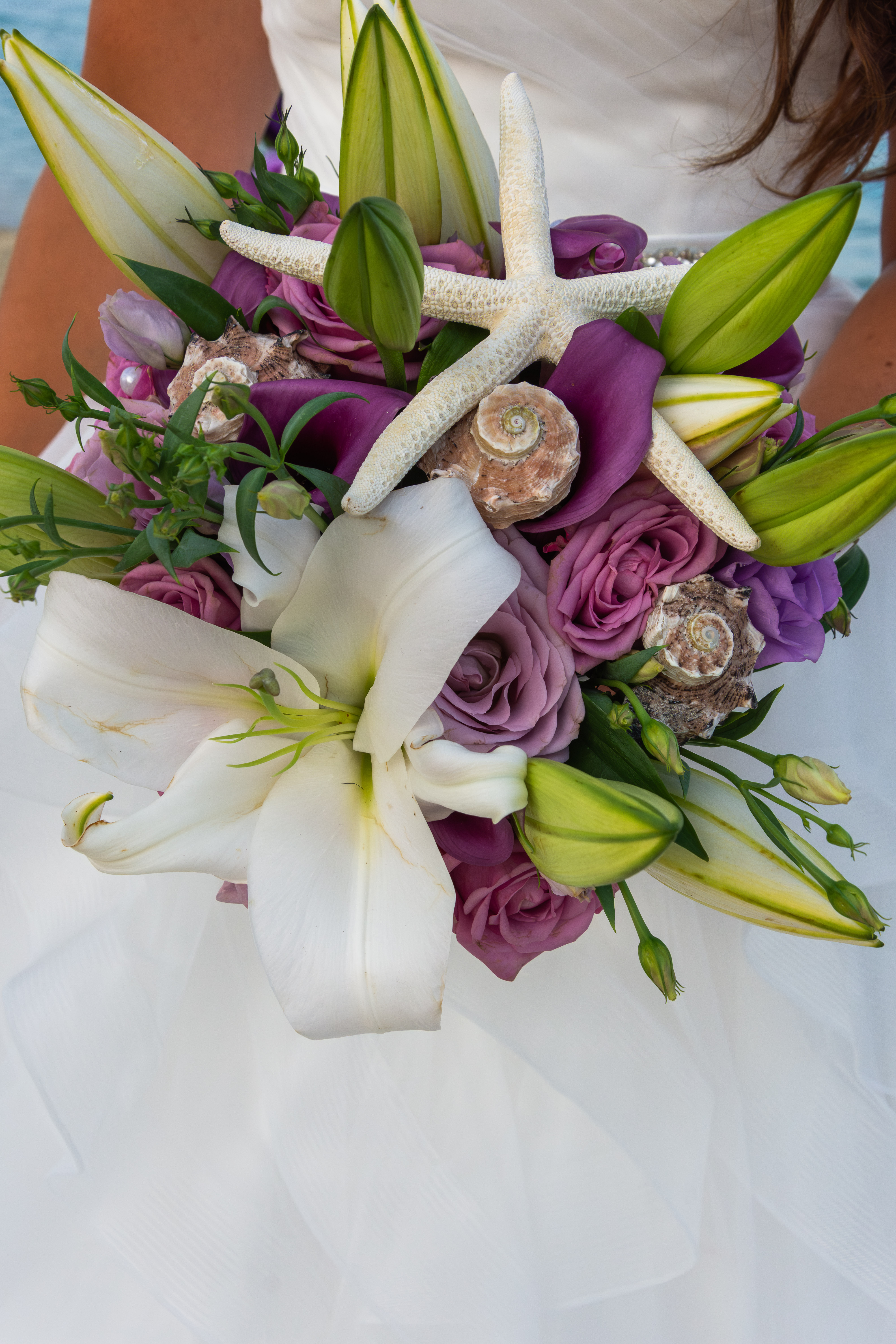 Hochzeitsfotograf: Brigitte Schweizer