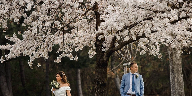 Hochzeitsfotos - Art des Shootings: Prewedding Shooting - Kittsee - Tomas Anderson Fotografie