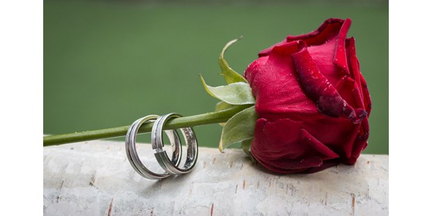 Hochzeitsfotos - Copyright und Rechte: Bilder frei verwendbar - Bärenklau - Hochzeitsfotografen Döbeln