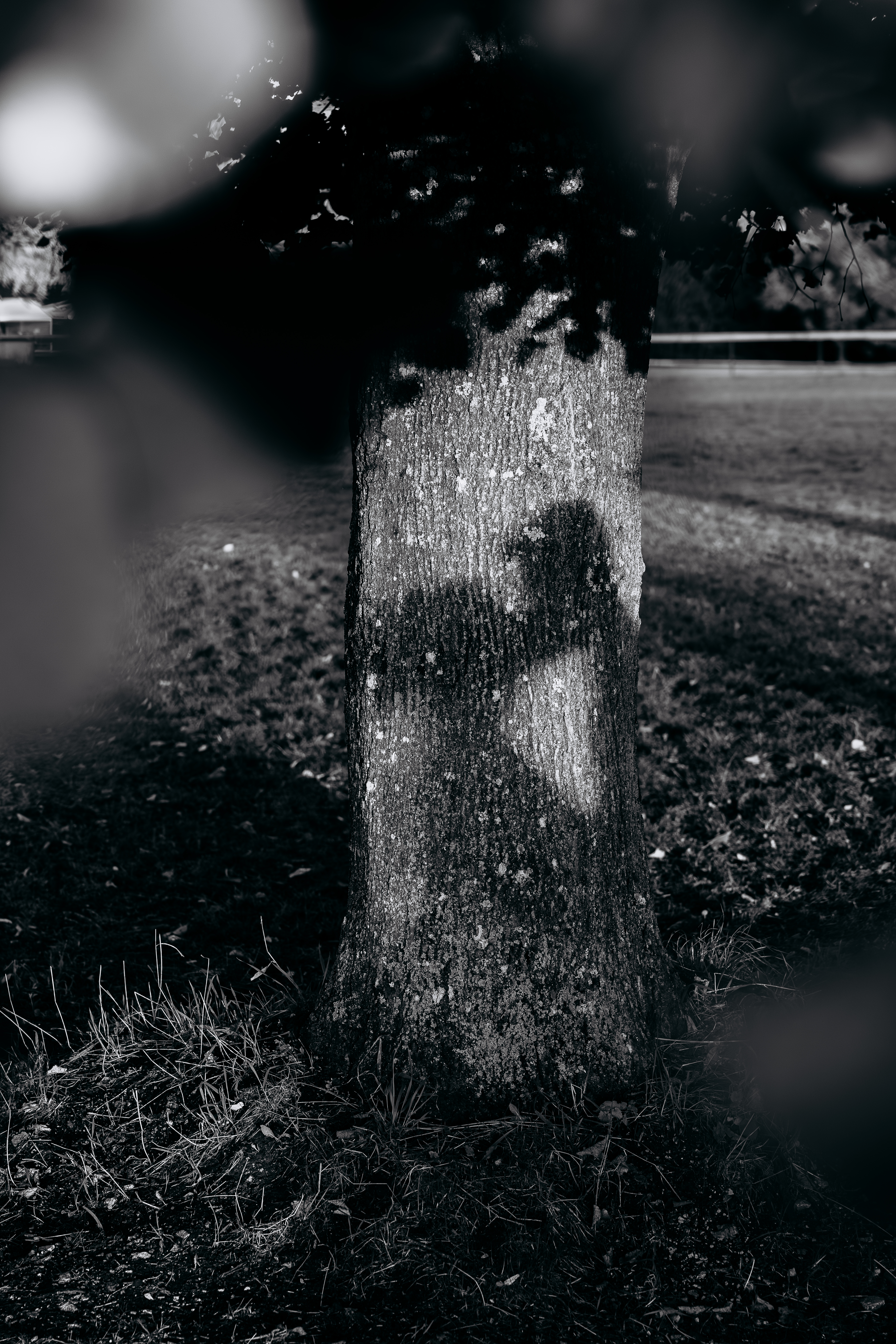 Hochzeitsfotos - Bayern - ST Photographyx Shanice & Thomas